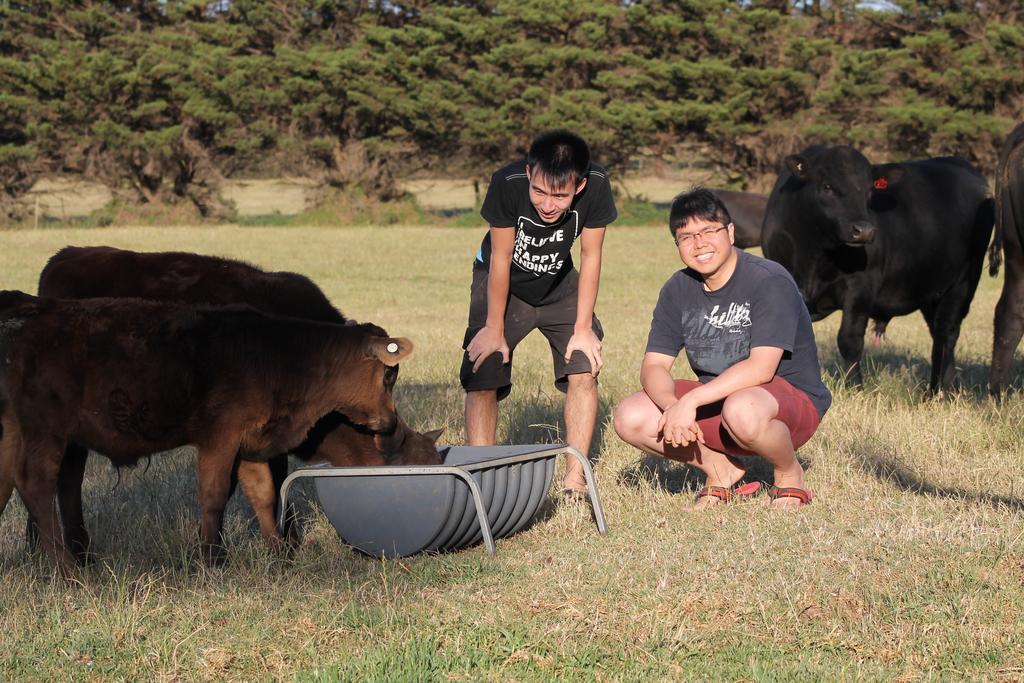 Bimbadeen Phillip Island Farm Retreats Ventnor Exteriör bild