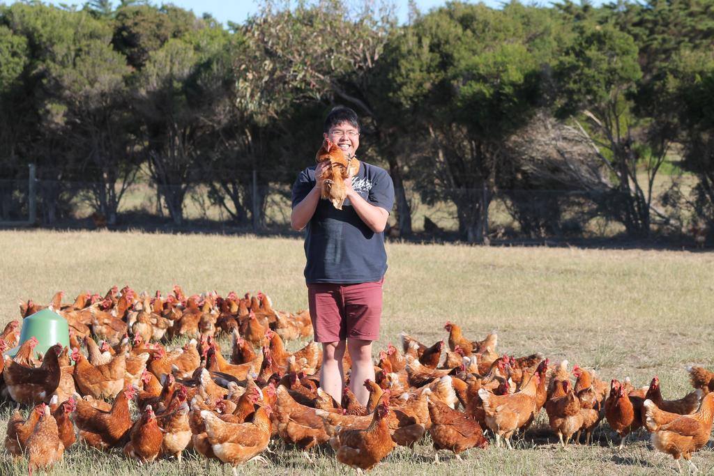 Bimbadeen Phillip Island Farm Retreats Ventnor Exteriör bild